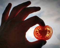 Le lycopene de la tomate est un puissant antioxydant