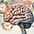 Alzheimer : Les neuf signes qui doivent alerter
