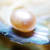La poudre de perle, remède antique venu de Chine
